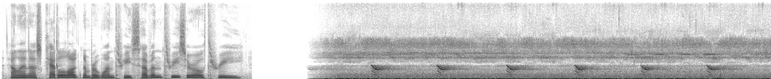 フランケオナシケンショウコウモリ - ML137303