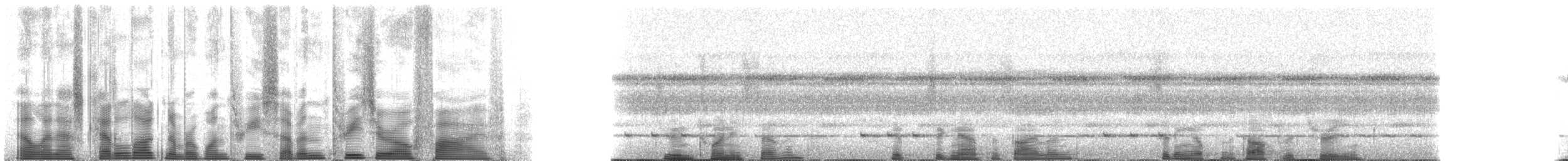 Hammer-headed Fruit Bat - ML137305