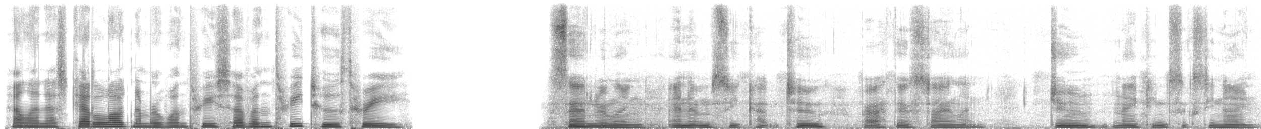 Bécasseau sanderling - ML137323
