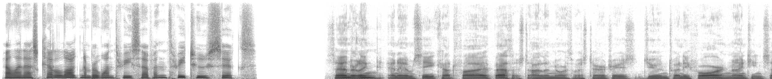 jespák písečný - ML137326