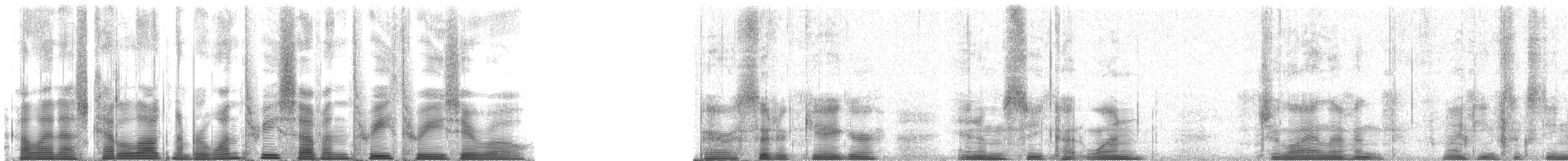 Labbe parasite - ML137330