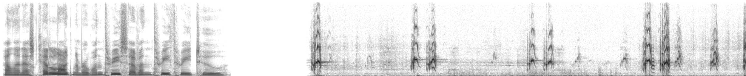 chaluha malá - ML137332