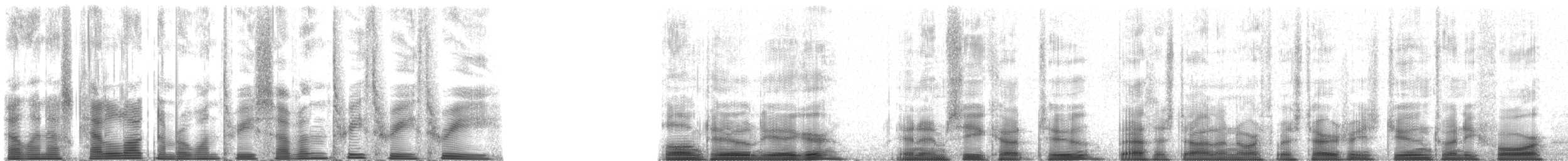 chaluha malá - ML137333