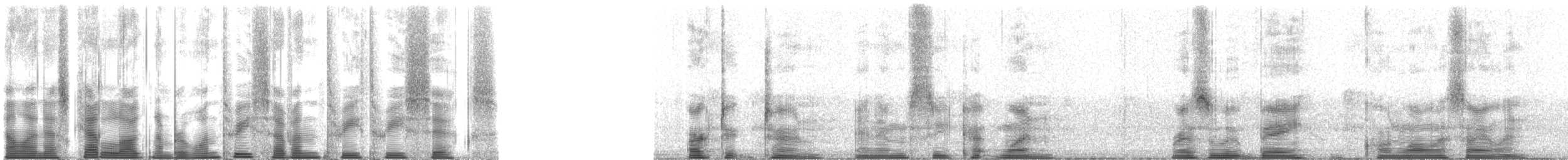 rybák dlouhoocasý - ML137336