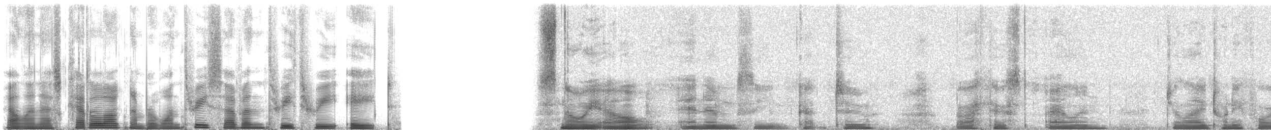 Schneeeule - ML137338