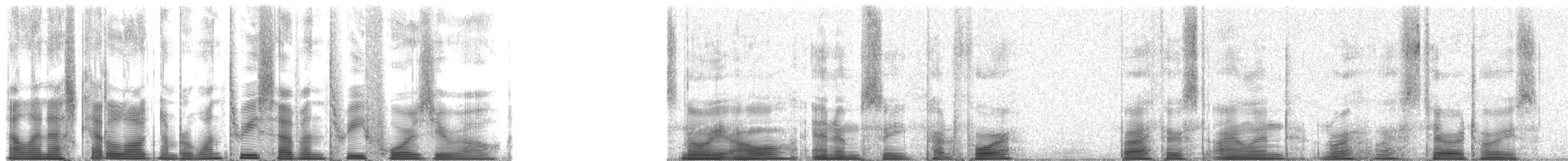 Schneeeule - ML137340