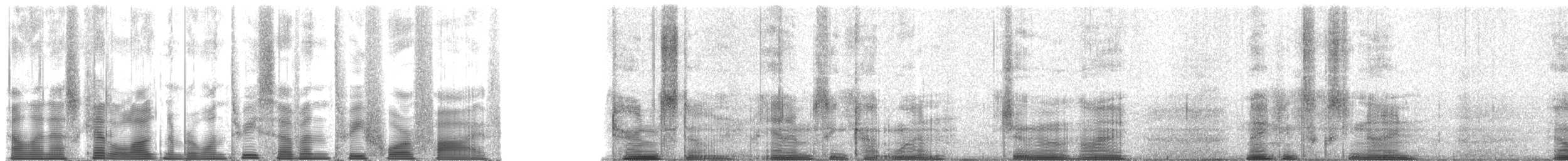 kamenáček pestrý - ML137345