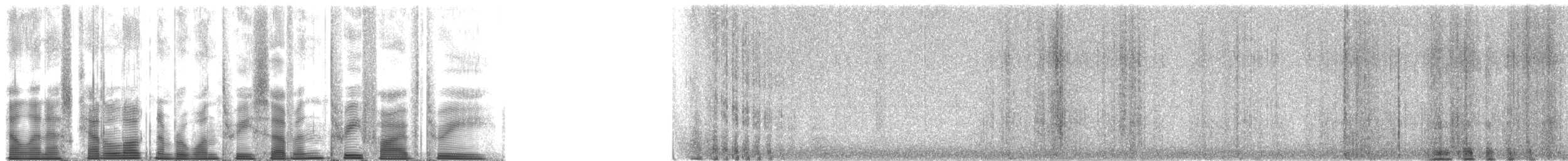 Tétras sombre ou T. fuligineux - ML137353