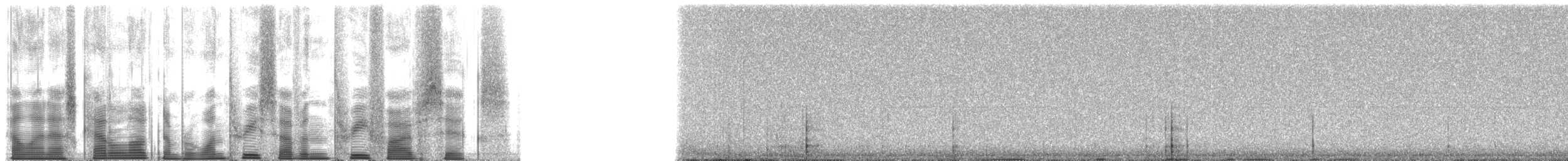 tetřívek douglaskový - ML137356