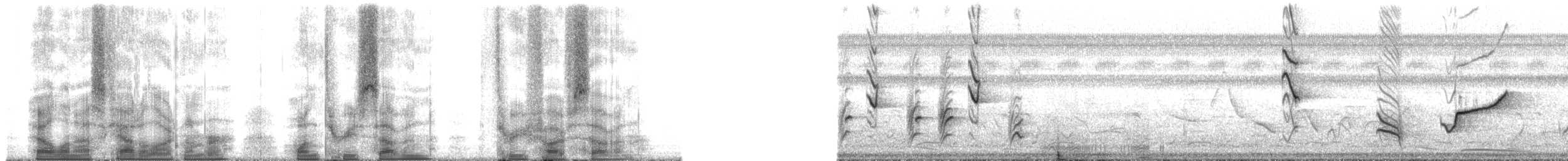 Зернолуск чорноголовий - ML137357