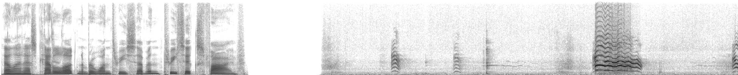 chaluha pomořská - ML137365