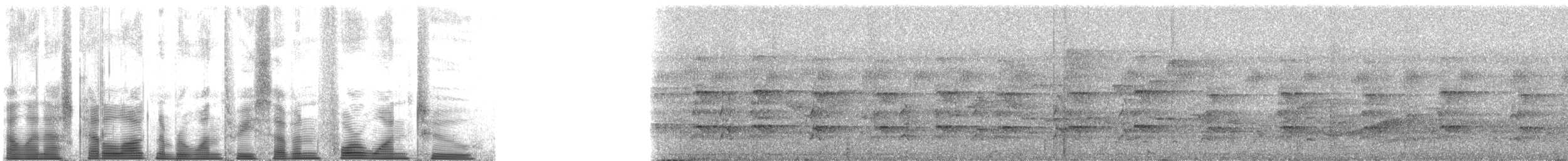 Turuncu Gagalı Boynuzgaga - ML137412
