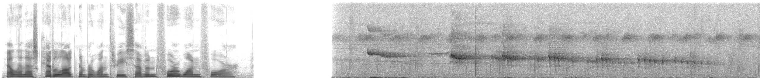 Мангровый зимородок - ML137414