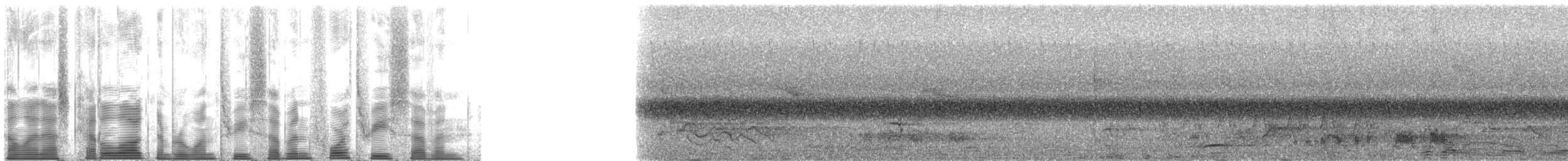 Güneyli Çizgili Yılan Kartalı - ML137437