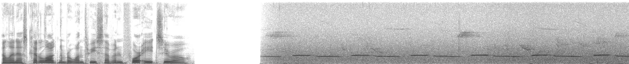 Горная кукушка (patulus) - ML137480