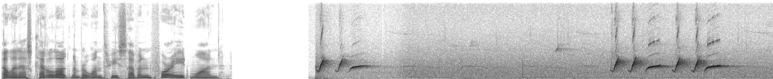 Гонолек східний (підвид usambaricus) - ML137481