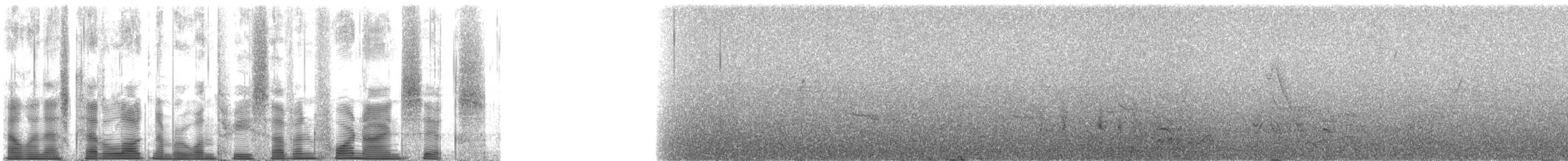 Щедрик східний - ML137496