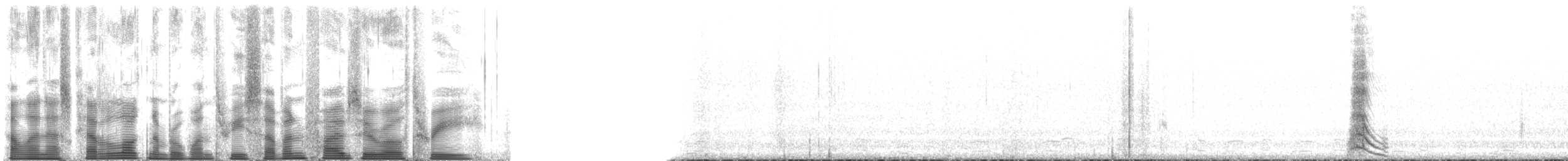 Zingira-hontza (flammeus) - ML137503