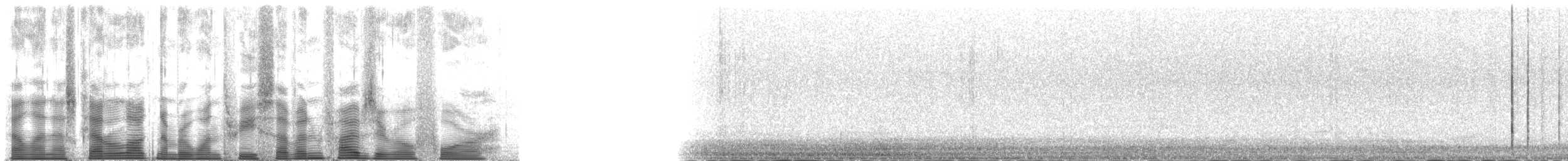 Zingira-hontza (flammeus) - ML137504