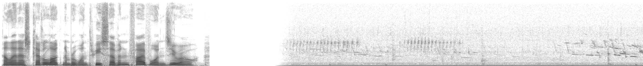 Ring-necked Pheasant - ML137510
