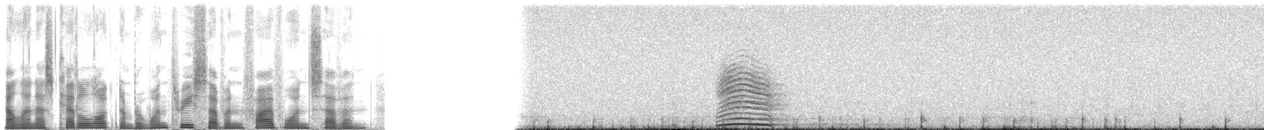 Kulaklı Orman Baykuşu (wilsonianus/tuftsi) - ML137517