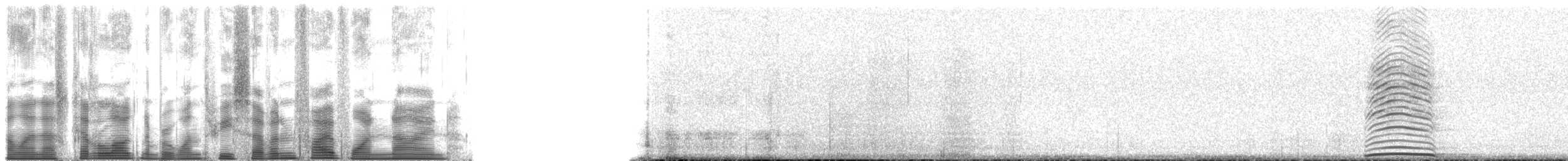 Kulaklı Orman Baykuşu (wilsonianus/tuftsi) - ML137519