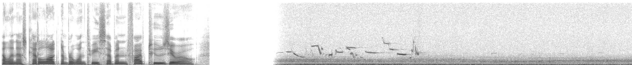 Zingira-hontza (flammeus) - ML137520