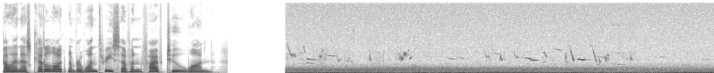 Zingira-hontza (flammeus) - ML137521