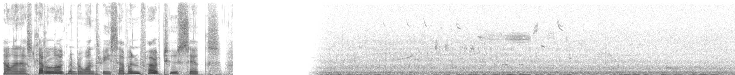 Aguja Colipinta (siberiana) - ML137526