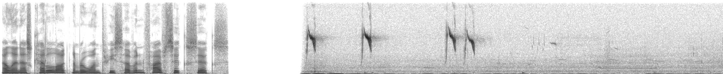 østgulerle (tschutschensis/plexa) - ML137566