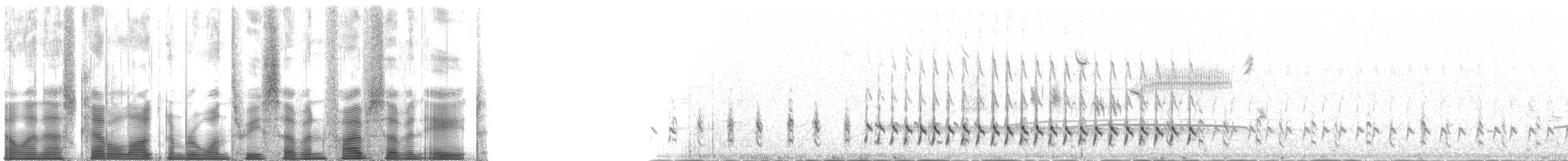 チュウシャクシギ（亜種 アメリカチュウシャクシギ） - ML137578