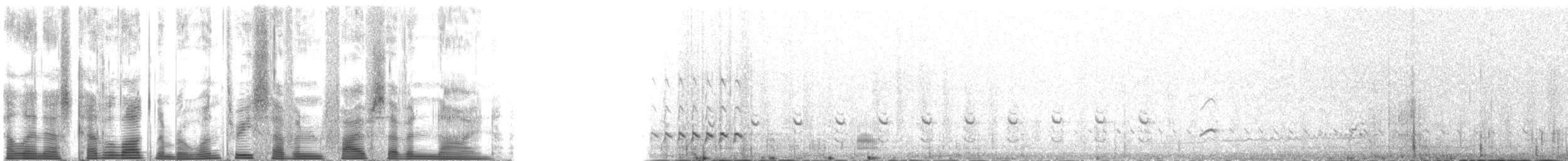 Whimbrel (Hudsonian) - ML137579