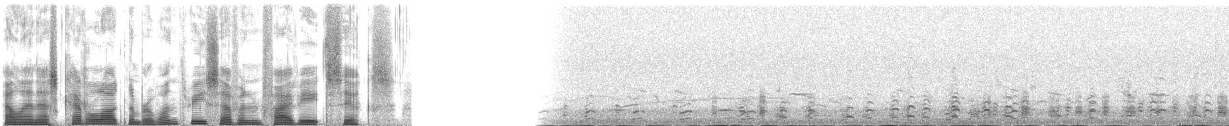 Whimbrel (Hudsonian) - ML137586