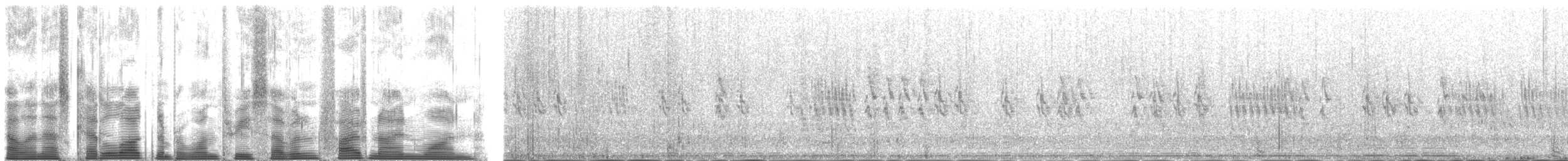 bergand - ML137591
