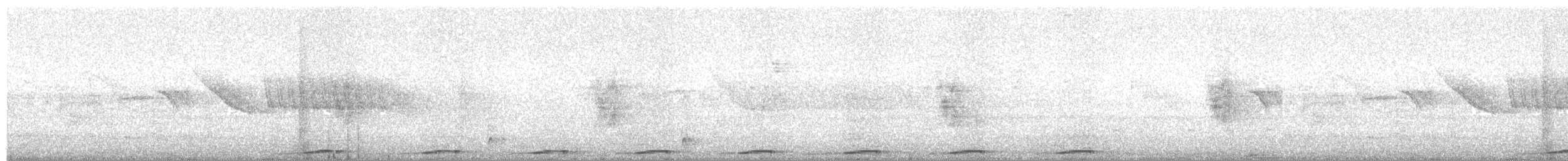 holoubek pikui - ML137595231