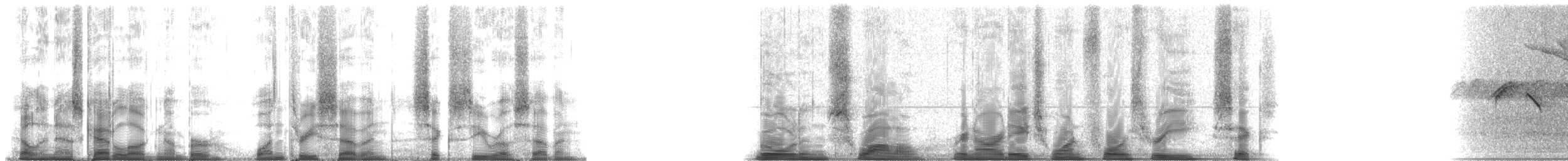 Golden Swallow - ML137607