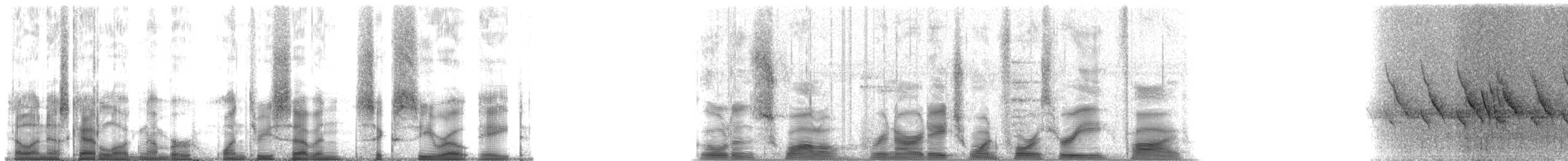 Golden Swallow - ML137608