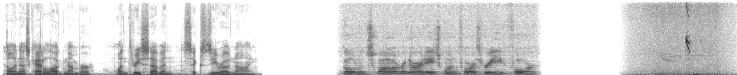 Golden Swallow - ML137609