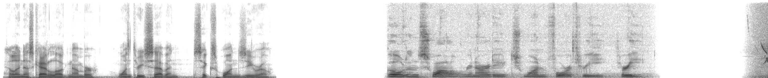 Golden Swallow - ML137610