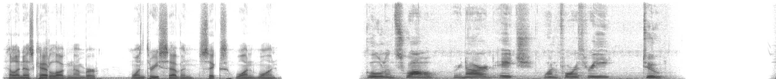 Golden Swallow - ML137611