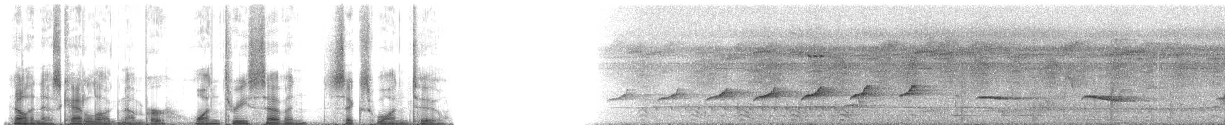 Wing-banded Antbird (Buff-banded) - ML137612