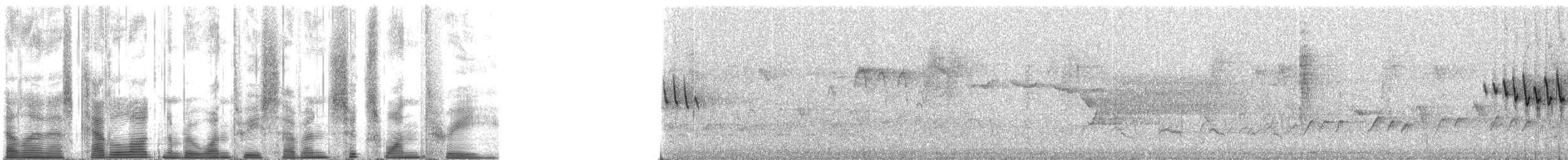 Orange-crowned Warbler (lutescens) - ML137613