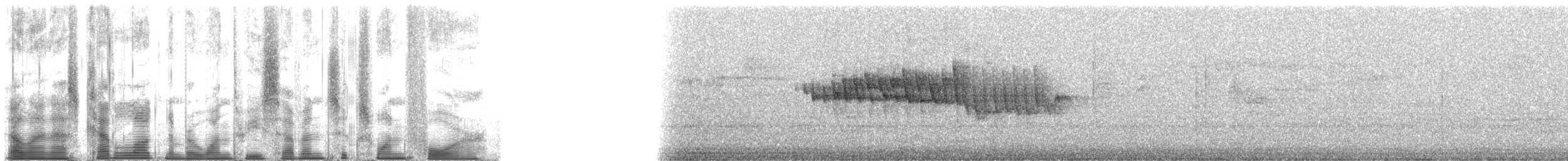 Orange-crowned Warbler (lutescens) - ML137614