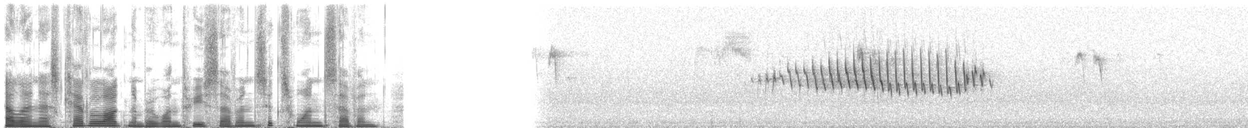 Paruline verdâtre (lutescens) - ML137617