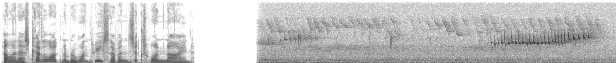 Orange-crowned Warbler (lutescens) - ML137619