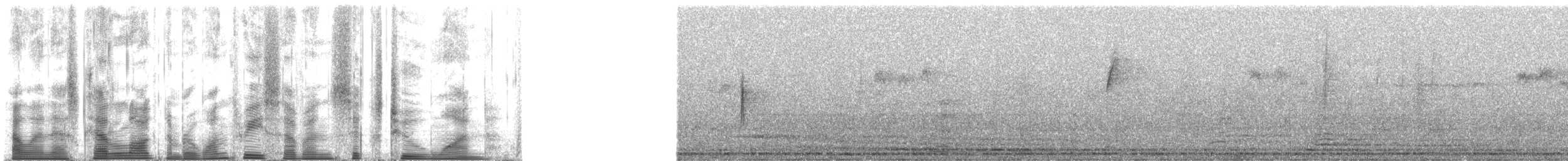 Orange-crowned Warbler (lutescens) - ML137621