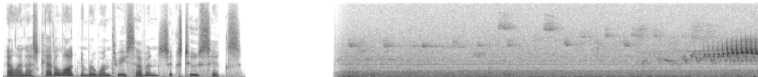 Orange-crowned Warbler (lutescens) - ML137626