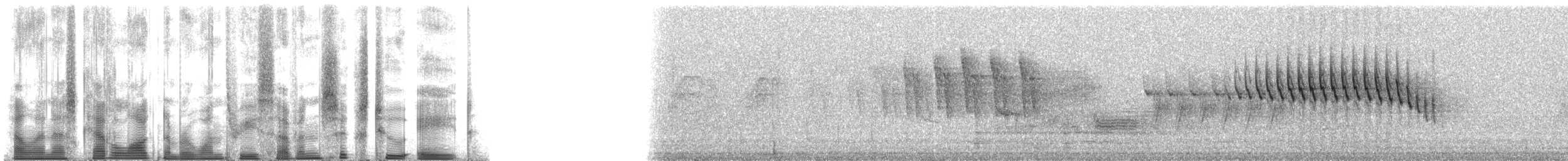 Orange-crowned Warbler (lutescens) - ML137628