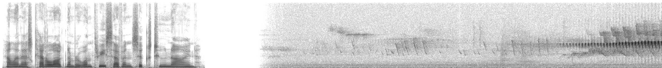 Orange-crowned Warbler (lutescens) - ML137629