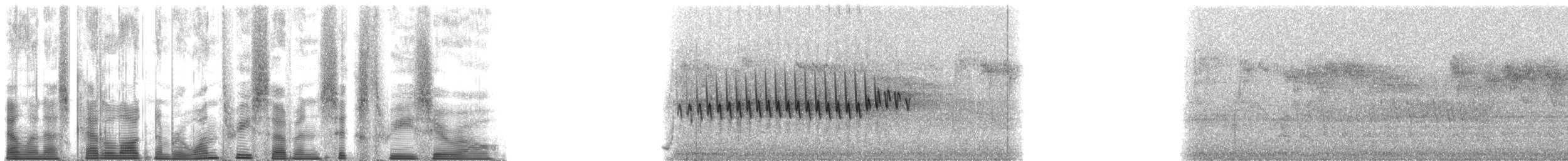 Orange-crowned Warbler (lutescens) - ML137630